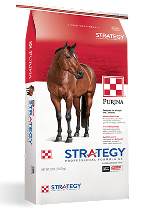Product_Horse_Strategy_GX_Professional_Formula_2019.png