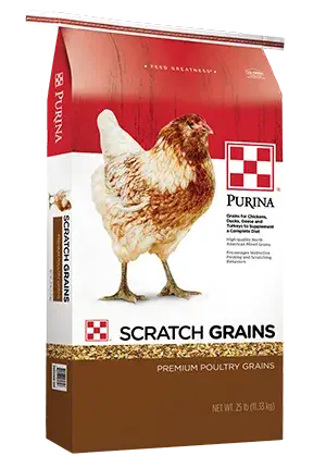 Products_Flock_Scratch-Grains_25-lb-2